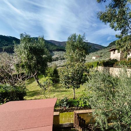 Podere Di Mero Casolare Buti Екстериор снимка